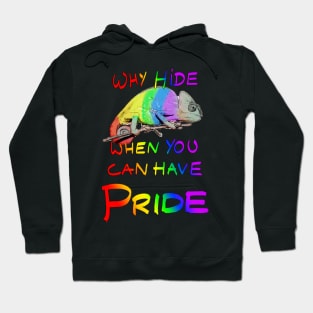 Why Hide When You Can Have Pride Hoodie